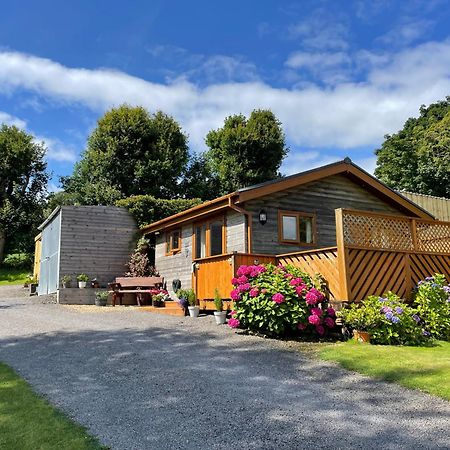 Swansea Log Cabin Pontardawe Luaran gambar