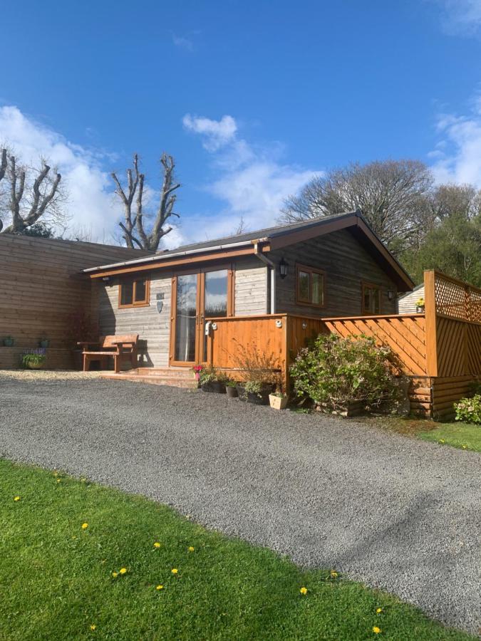 Swansea Log Cabin Pontardawe Luaran gambar
