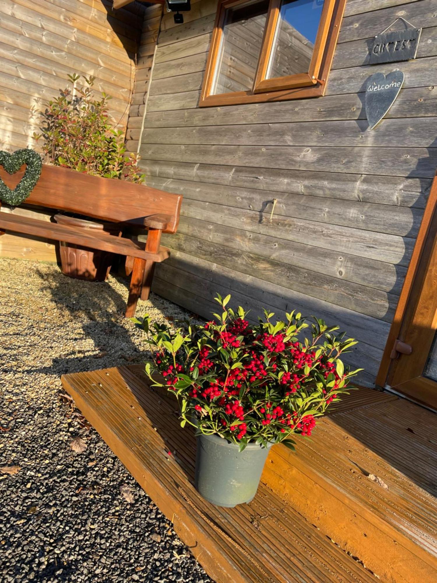 Swansea Log Cabin Pontardawe Luaran gambar