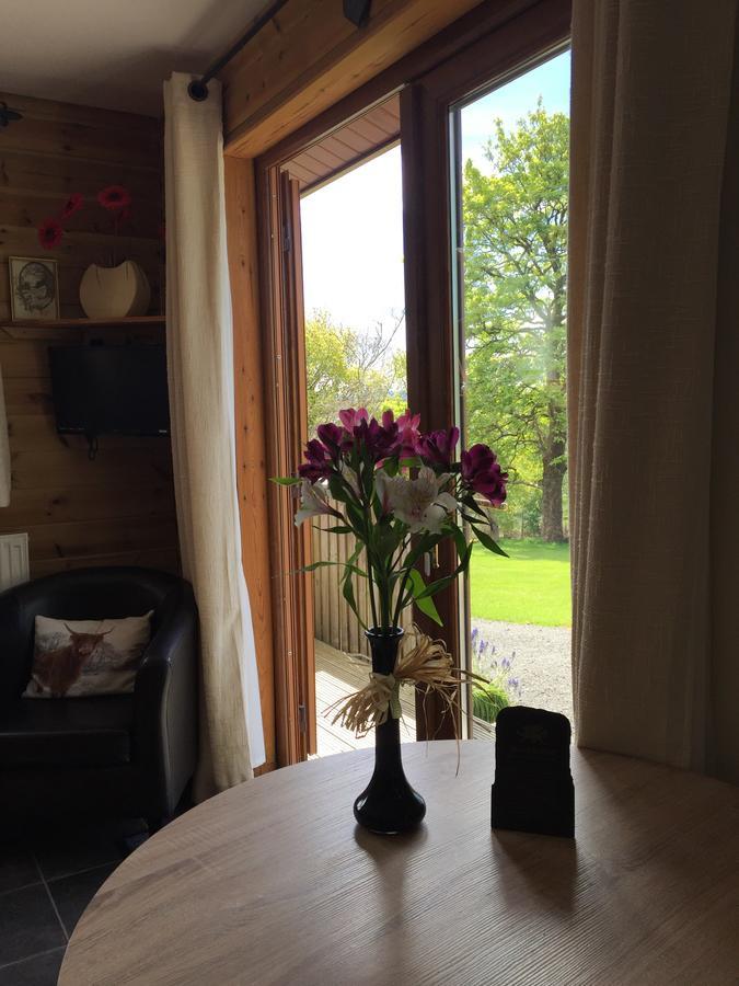 Swansea Log Cabin Pontardawe Luaran gambar