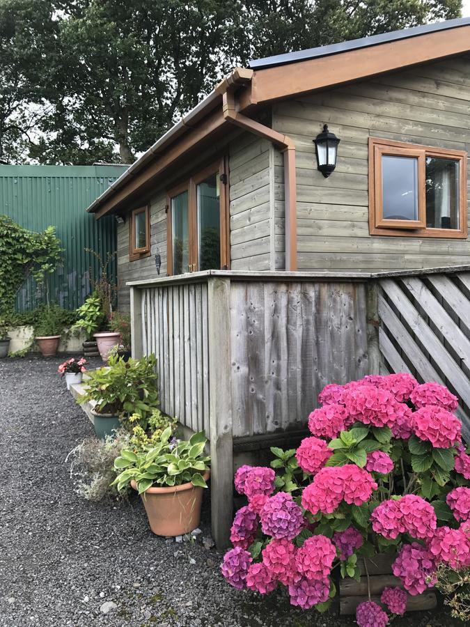 Swansea Log Cabin Pontardawe Luaran gambar